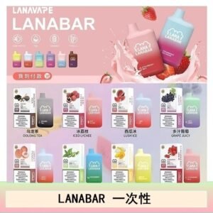 LANA BAR可充电一次性電子煙霧化5000口(3.0%)